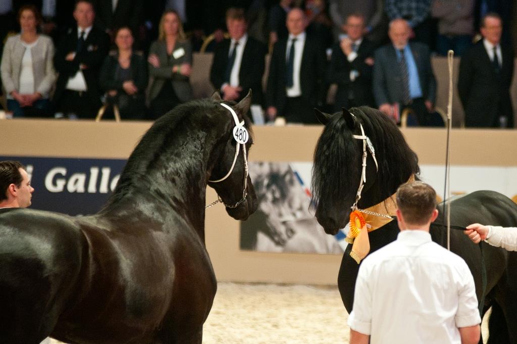 Hessel en Jehannes-kl