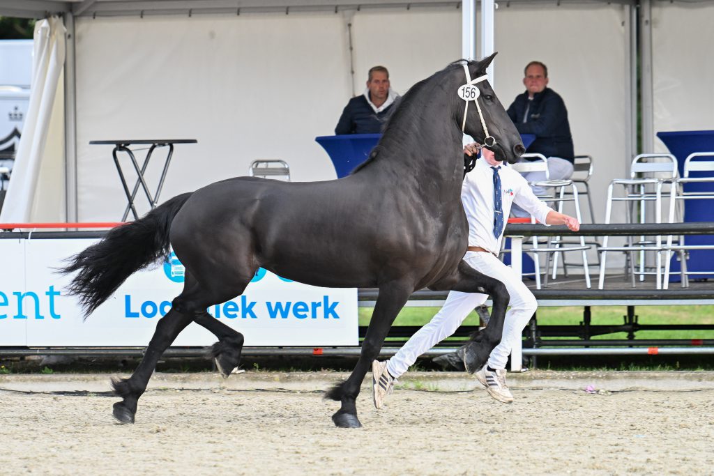 Wietske (Tsjalle 454 x Mewes 438)-5052-20220917