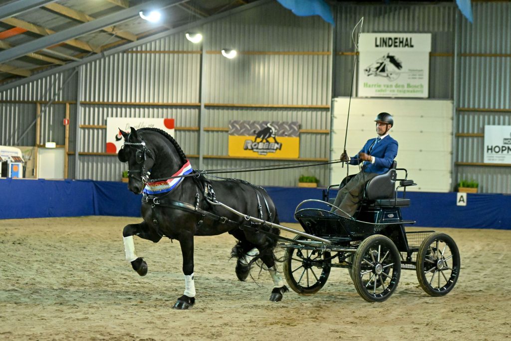 ZZ Stal Brandsma’s Diederik (Jehannes 484) met Abe Brandsma-2798-20230217