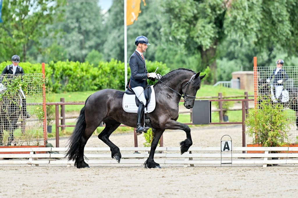 Aeltsje fan Klaeiterp (Hessel 480 x Teeuwis 389) met Ludo van der Weide-2983-20230712