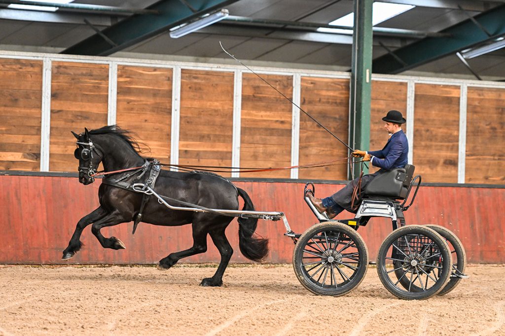 Laura van het Middengras (Tymen 503 x Jisse 433) met Jelmer Chardon-0518-20231123