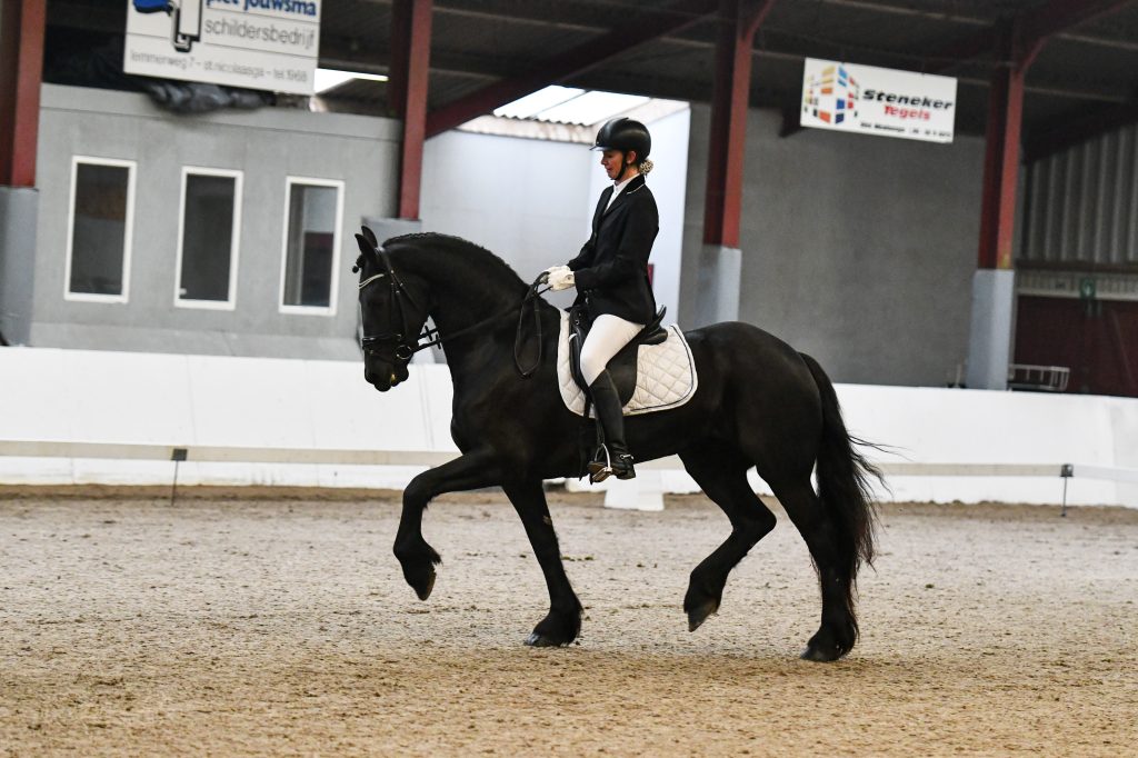 M Rika v.d. Toarnwerterleane (v. Hinne 427) met Froukje van der Schaaf-0469