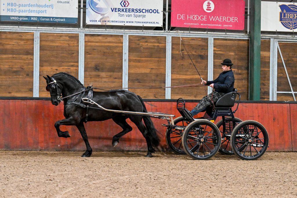 Janne fan Synaeda (Omer 493 x Stendert 447) met Age Okkema-9668-20241219