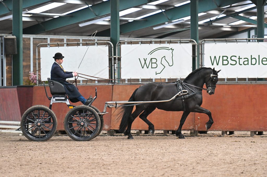 Sterre fan ‘e Ridderdijk (Auwert 514 x Eibert 419) met Age Okkema-2366-20250129